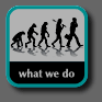 What We Do
