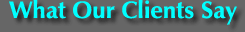 What Our Clients Say